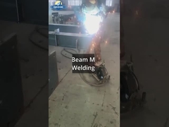 Oficina de aço do Sri Lanka com projeto de guindaste